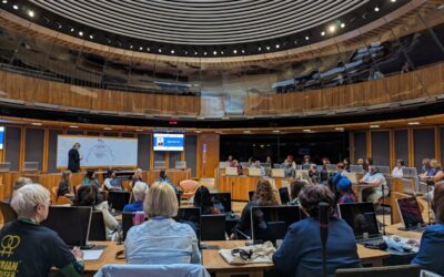Centenary Action joins We Belong Here – A Women’s Take Over of the Senedd