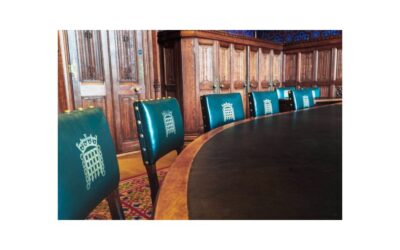 Modernisation Without a Gender and Diversity Sensitivity Focus is not Modernisation: An Agenda for the New Modernisation Committee