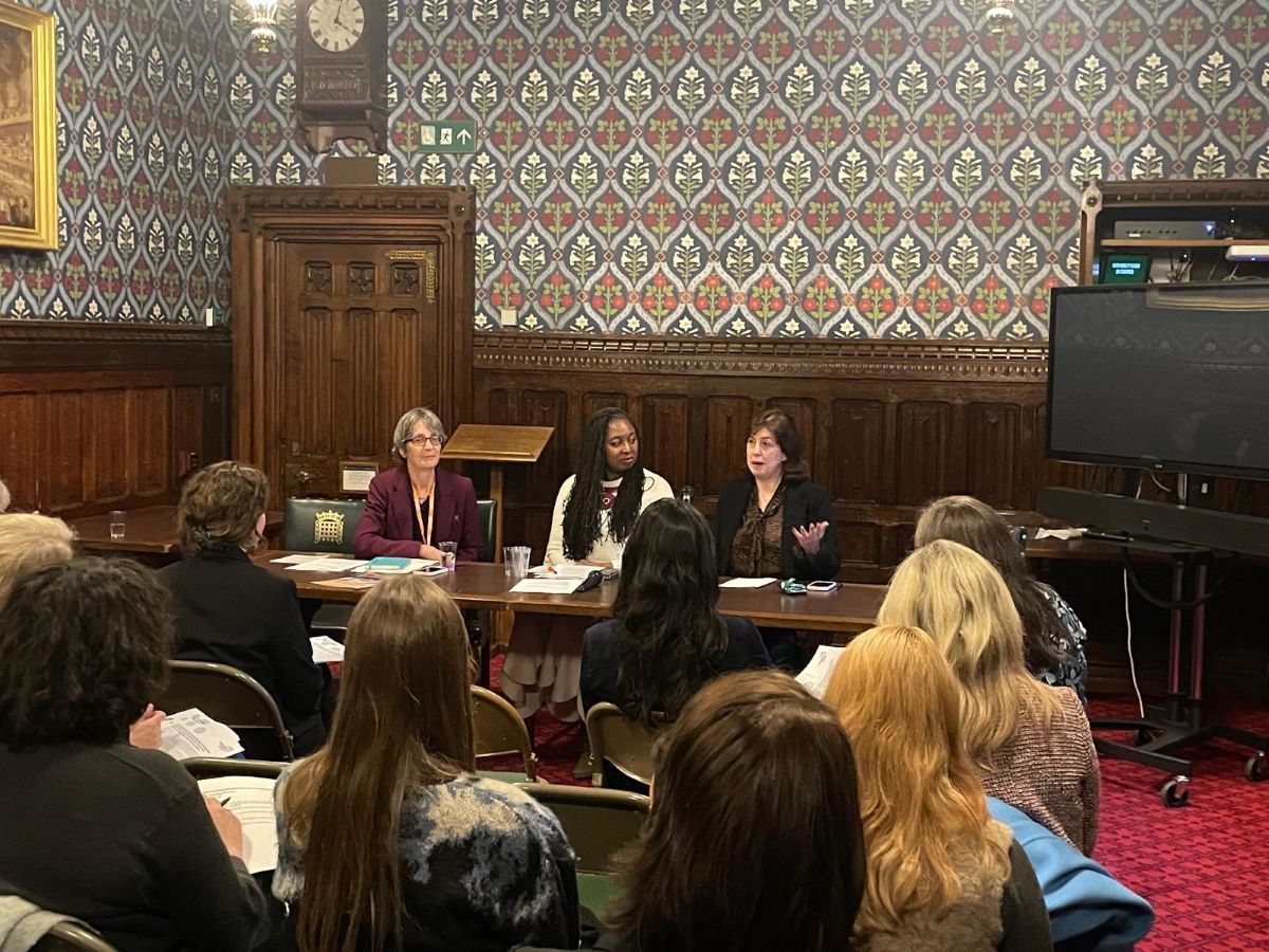 Photograph from APPG meeting with Leader of the House